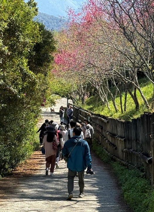 活動照片
