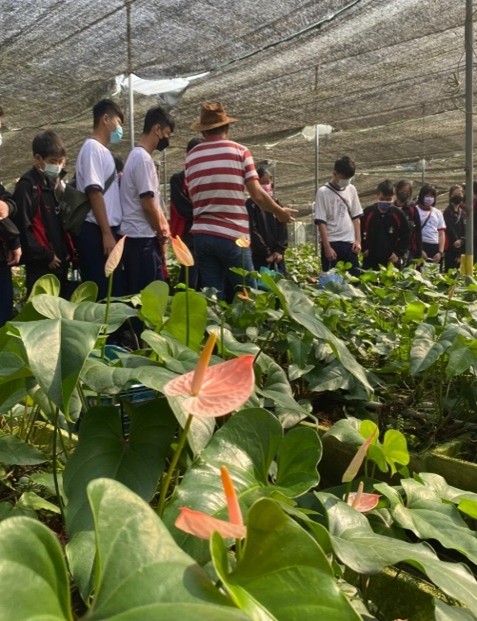 活動照片