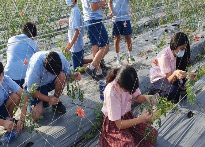 活動照片