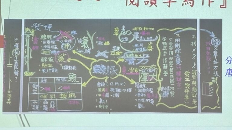 活動照片