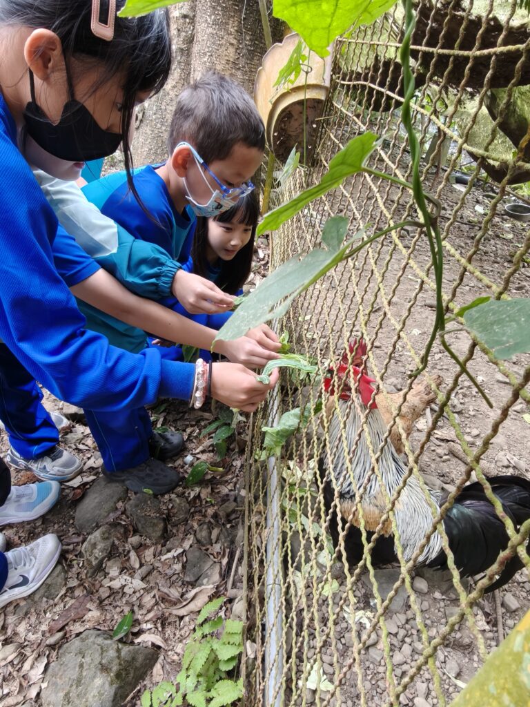 活動照片