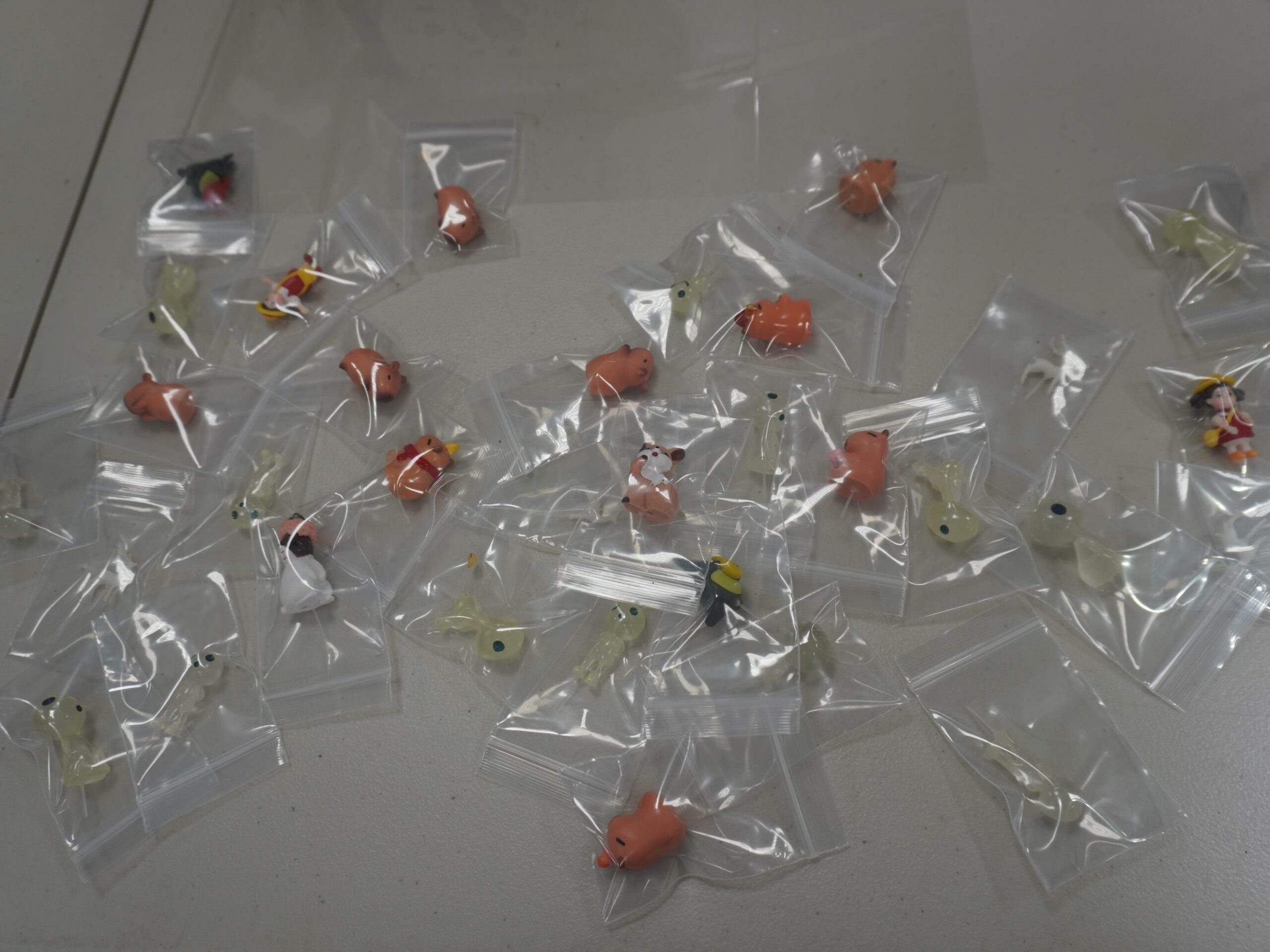 活動照片