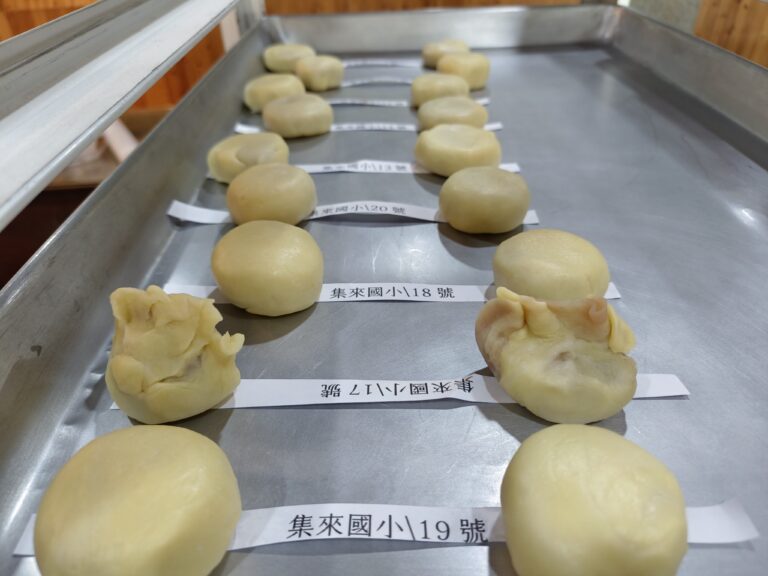 活動照片