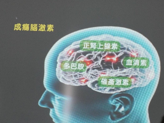 活動照片